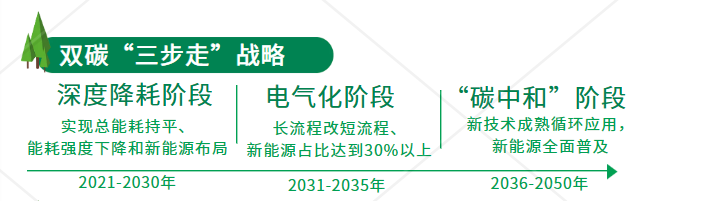 雙碳“三步走”